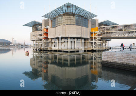 Oceanário de Lisboa - Ozeanarium Lissabon - Lissabon, Portugal, Europa Stockfoto