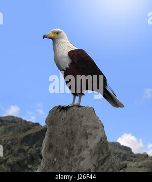 3D-Rendering einer majestätischen Weißkopf-Seeadler sitzen im Hochgebirge. Stockfoto