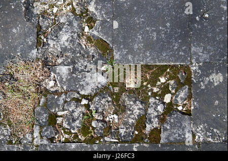 Gebäude aus Stein, bedeckt mit Moos und Flechten. Im Laufe der Zeit betroffen Stockfoto