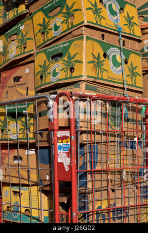 Boxen mit tropischen Früchten auf elektrischen Lane Markt in Brixton, London, UK Stockfoto