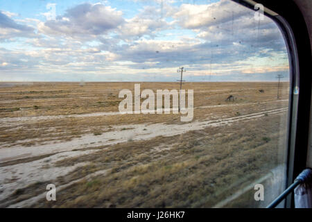 Kamele im Halbfinale der Wüste über dem Zugfenster in Karakalpakstan autonomen Region, Usbekistan Stockfoto