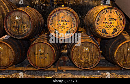 Personalisierte Portwein Fässern in einem Weinkeller, Quinta De La Rosa, Pinhao, Alto Douro, Portugal Stockfoto