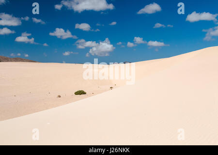 Blick auf den berühmten Sanddünen der Corralejo in Fuerteventura, Spanien mit blauem Himmel. Stockfoto