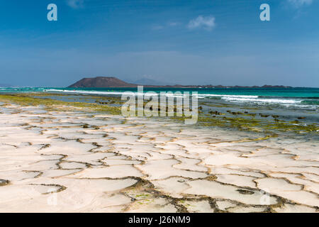 Felsstrukturen bilden Pfanne Muster an einem Strand in der Nähe von Corralejo in Fuerteventura, Spanien, Isla de Lobos im Hintergrund. Stockfoto