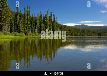 Gold-See, Willamette National Forest, Oregon Stockfoto