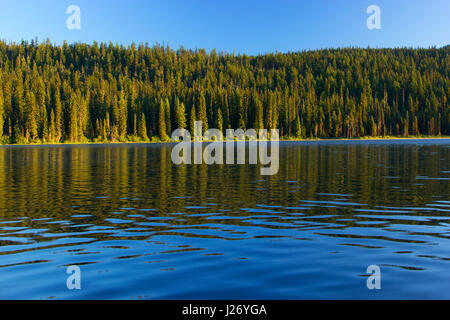 Gold-See, Willamette National Forest, Oregon Stockfoto