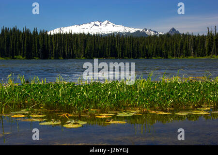 Gold-See mit Diamond Peak, Willamette National Forest, Oregon Stockfoto