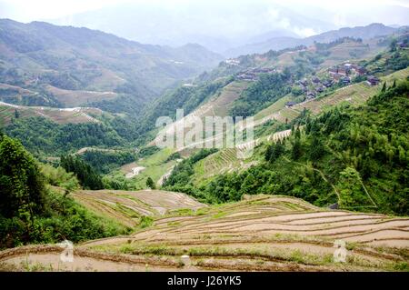 Schöne Reis terrassierten Felder Landschaft im Frühling Stockfoto