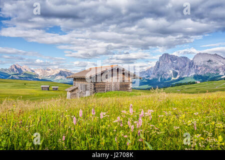 Idyllische Bergkulisse der Alpen in den Dolomiten mit traditionellen alten Chalets und frischen grünen Wiesen an einem sonnigen Tag im Sommer, Alpe di Siusi Stockfoto