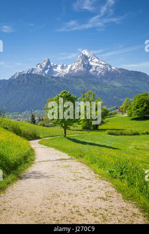 Schöne Aussicht auf die idyllische Bergwelt der Alpen mit Wanderweg, frische grüne Almwiesen und schneebedeckte Bergspitzen in der staatlich Stockfoto