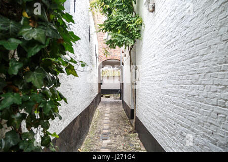 Antwerpen, Belgien - 5. Juli 2016: Vlaeykensgang ist klein und engen mittelalterlichen Gasse im Zentrum von Antwerpen. Stockfoto
