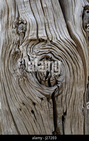 alten verwitterten hölzernen Pfosten Stockfoto