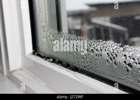 Kondenswasser am Fenster im Winter. Stockfoto