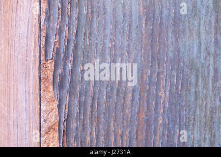Detail-Aufnahme einer alten Holztür. Stockfoto