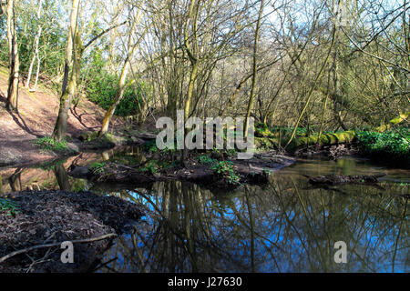 Lymm Dam, Warrington, Cheshire, Nordwest England, UK Stockfoto