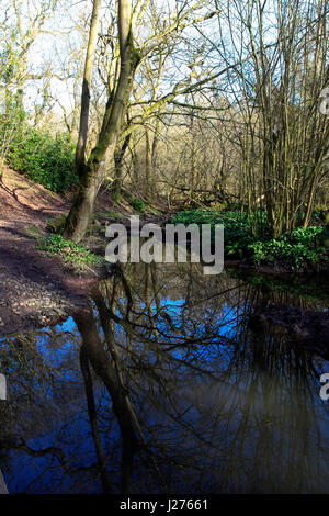 Lymm Dam, Warrington, Cheshire, Nordwest England, UK Stockfoto