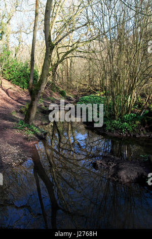 Lymm Dam, Warrington, Cheshire, Nordwest England, UK Stockfoto