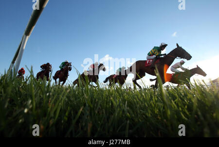 Läufer und Reiter konkurrieren in Flachrennen Dooley Versicherungen während Tag eins des Punchestown Festivals in Naas, Co. Kildare. Stockfoto