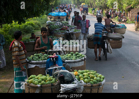 Händler führen Korb von Mangos mit dem Fahrrad, auf dem Kanshat-Mango-Markt zu verkaufen. Chapainawabganj, Bangladesch. Stockfoto