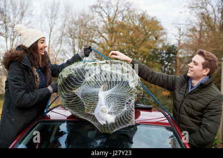 Paar stehen beiderseits des Auto binden Weihnachtsbaum bis zum Dach Stockfoto