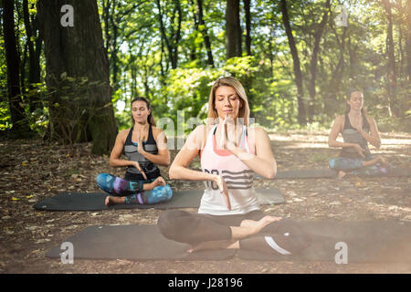 Drei junge flexible weibliche beim Yoga im sonnigen Wald Stockfoto