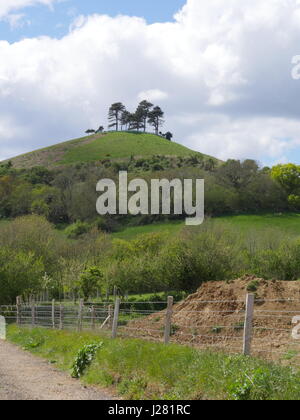 Die Colmer Hill, Symondsbury, Bridport, Dorset UK Stockfoto