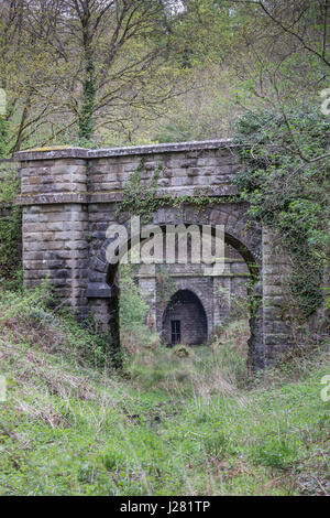 Mireystock Eisenbahntunnel Wald von Dean, Gloucestershire Stockfoto