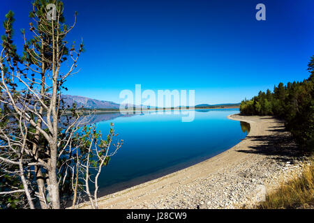 Jackson Lake mit der Landschaft widerspiegelt perfekt im Grand Teton National Park in Wyoming Stockfoto