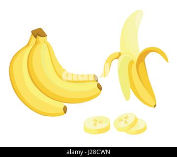 Eingestellten Banane. Trauben von frischen Bananen Früchte isoliert auf weißem Hintergrund, Sammlung von Vektor-Illustrationen Stock Vektor