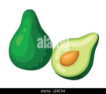 Avocados Vektorgrafik. Ganze und geschnittene Avocado isoliert auf weißem Hintergrund. Stock Vektor