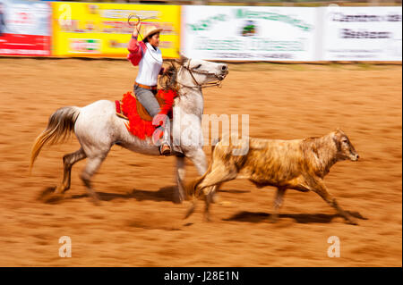 Rodeo ist ein beliebter Zeitvertreib in Mato Grosso Do Sul, Stadt Bonito, Brasilien Stockfoto