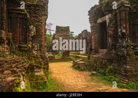 Mi Sohn Tempel, Vietnam Stockfoto