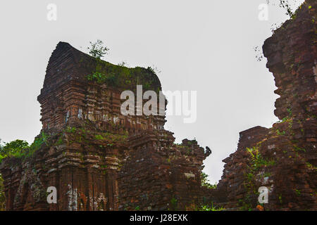 Mi Sohn Tempel, Vietnam Stockfoto