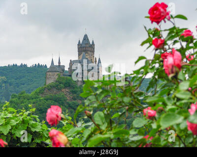 Deutschland, Rheinland-Pfalz, Cochem, Burg Cochem mit Rosen im Vordergrund auf der Mosel-Steig Stockfoto