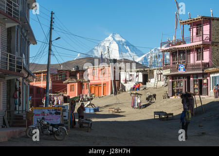 Nepal, Western Region, Ranipauwa, auf der Annapurna Circuit - Tag 10 - von Muktinath in Kagbeni - Muktinath Stadt, mit Blick auf den Dhaulagiri 8167 m Stockfoto