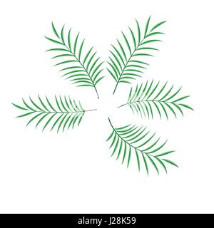 Palm Leaf Reihe Vektor-Illustration isoliert Stock Vektor
