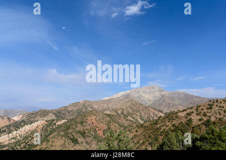 Usbekistan, Taschkent Provinz Bustonlik Tumani, Wandern in den Bergen Tschimgan, die Tschimgan ist ein Ausläufer des Tienschan Gebirge Stockfoto