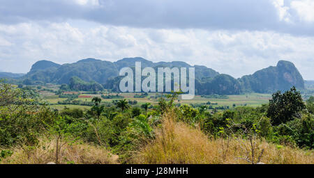 Blick auf das Tal von Vinales in Kuba Stockfoto