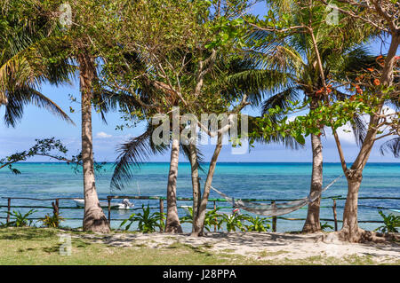 Palmen und sehen in Nacula Island, Teil der Yasawa Inselgruppe in Fidschi Stockfoto