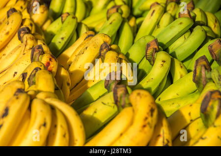 Bananen Stockfoto