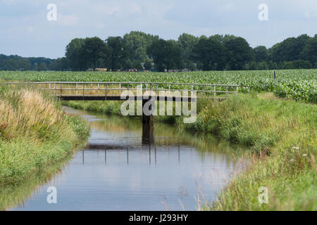 kleine hölzerne Fußgängerbrücke über eine didge Stockfoto