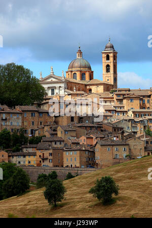 Ansicht von Urbino mit dem Dom und der Altstadt, Marche, Italien Stockfoto