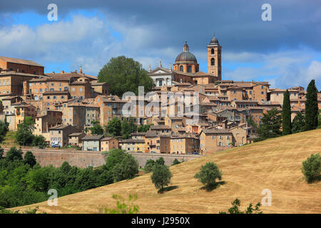 Ansicht von Urbino mit dem Dom und der Altstadt, Marche, Italien Stockfoto