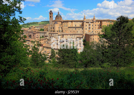 Ansicht von Urbino, mit den Dogenpalast, Palazzo Ducale und der Kathedrale, Marche, Italien Stockfoto