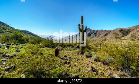 Eine schöne Tageswanderung an einem klaren sonnigen Tag am South Mountain Park von Phoenix Arizona, Vereinigte Staaten Stockfoto