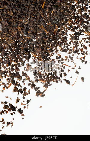 Nahaufnahme des Inhalts eine typisch britische Teebeutel ordentliche Qualität. Das Image umfasst eine Fläche von 30mm x20mm. Stockfoto