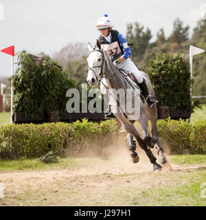 BURNHAM MARKET, NORFOLK/ENGLAND - 13. April 2017: Burnham Markt International Horse Trials 2017 cross Country event Stockfoto