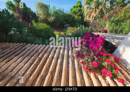 Alten Lehm Fliesen Dachneigung sinkt im Sommer Garten, Hintergrundfoto mit Perspektive-Effekt Stockfoto