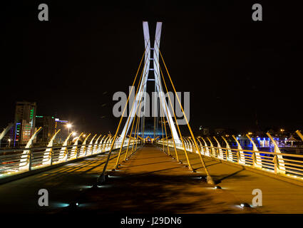 Freischwinger Brücke in Teheran Nacht, iran Stockfoto