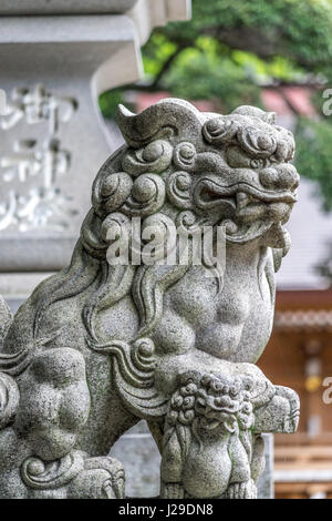 Löwe-Hund Wächter (Komainu) am Eingang des Mitaka Hachiman dai Jinja (grand Hachiman Schrein), Shinto-Schrein befindet sich in Stadt Mitaka, Tokyo Stockfoto